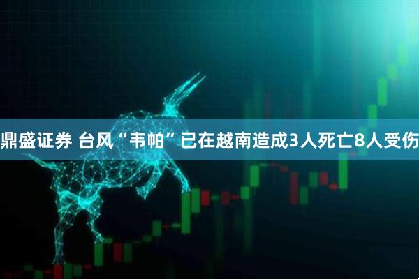 鼎盛证券 台风“韦帕”已在越南造成3人死亡8人受伤