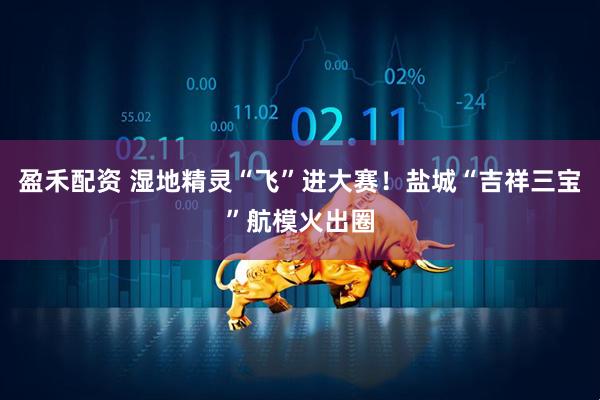 盈禾配资 湿地精灵“飞”进大赛！盐城“吉祥三宝”航模火出圈